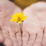From Loss to Legacy: Sharing Stories on Motherless.cok